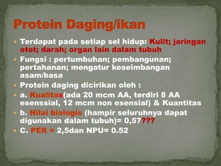  Terdapat pada setiap sel hidup: Kulit; jaringan
otot; darah; organ lain dalam tubuh
 Fungsi : pertumbuhan; pembangunan;
pertahanan; mengatur keseimbangan
asam/basa
 Protein daging dicirikan oleh :
 a. Kualitas(ada 20 mcm AA, terdiri 8 AA
esenssial, 12 mcm non esensial) & Kuantitas
 b. Nilai biologis (hampir seluruhnya dapat
digunakan dalam tubuh)= 0,57???
 C. PER = 2,5dan NPU= 0.52
 