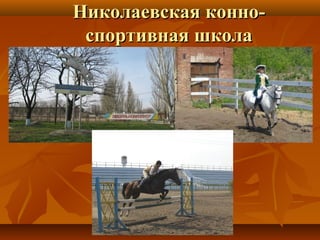 Николаевская конно-Николаевская конно-
спортивная школаспортивная школа
 