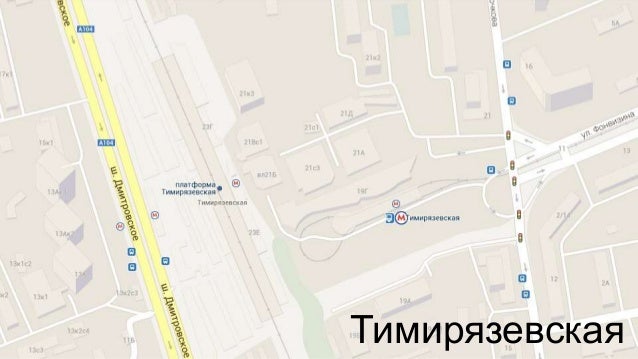Метро Тимирязевская Магазины Рядом