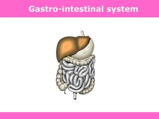 Gastro-intestinal system
 