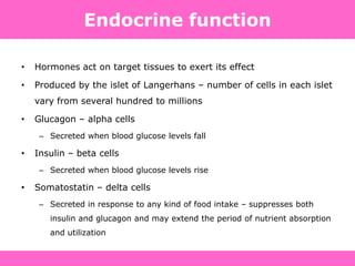 Endocrine function
• Hormones act on target tissues to exert its effect
• Produced by the islet of Langerhans – number of cells in each islet
vary from several hundred to millions
• Glucagon – alpha cells
– Secreted when blood glucose levels fall
• Insulin – beta cells
– Secreted when blood glucose levels rise
• Somatostatin – delta cells
– Secreted in response to any kind of food intake – suppresses both
insulin and glucagon and may extend the period of nutrient absorption
and utilization
 