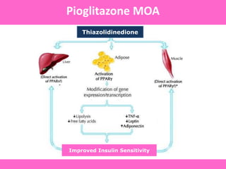 Pioglitazone MOA
Improved Insulin Sensitivity
Thiazolidinedione
 