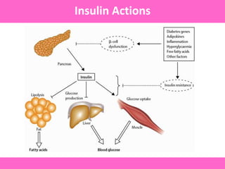 126
Figure – Normal insulin action pathway
Insulin Actions
 
