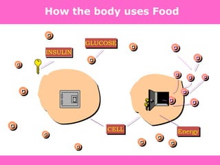 GLUCOSE
INSULIN
CELL Energy
How the body uses Food
 