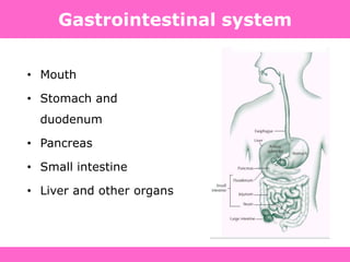Gastrointestinal system
• Mouth
• Stomach and
duodenum
• Pancreas
• Small intestine
• Liver and other organs
 