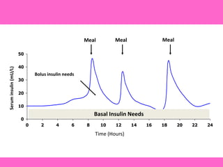 0
10
20
30
40
50
0 2 4 6 8 10 12 14 16 18 20 22 24
Time (Hours)
Meal Meal Meal
Basal Insulin Needs
Bolus insulin needs
Seruminsulin(mU/L)
 
