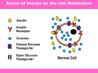 Action of Insulin on the Cell Metabolism
 