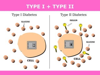 TYPE I + TYPE II
Type I Diabetes Type II Diabetes
GLUCOSE
GLUCOSE
INSULIN
CELL
CELL
 