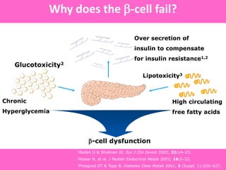 Chronic
Hyperglycemia
Over secretion of
insulin to compensate
for insulin resistance1,2
High circulating
free fatty acids
Glucotoxicity2
Pancreas
Lipotoxicity3
-cell dysfunction
. Eur J Clin Invest 2002; 32:14–23., 2Kaiser N, et al. J Pediatr Endocrinol Metab 2003; 16:5–
22.,3Finegood DT & Topp B. Diabetes Obes Metab 2001; 3 (Suppl. 1):S20–S27.
Why does the -cell fail?
1Boden G & Shulman GI. Eur J Clin Invest 2002; 32:14–23.
2Kaiser N, et al. J Pediatr Endocrinol Metab 2003; 16:5–22.
3Finegood DT & Topp B. Diabetes Obes Metab 2001; 3 (Suppl. 1):S20–S27.
 