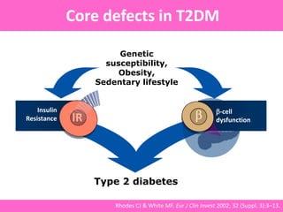 Insulin
Resistance
Genetic
susceptibility,
Obesity,
Sedentary lifestyle
Type 2 diabetes
IR
-cell
dysfunction
Core defects in T2DM
Rhodes CJ & White MF. Eur J Clin Invest 2002; 32 (Suppl. 3):3–13.
 