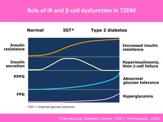 Abnormal
glucose tolerance
Hyperinsulinemia,
then -cell failure
Normal IGT* Type 2 diabetes
PPPG
Insulin
resistance
Increased insulin
resistance
FPG
Hyperglycemia
Insulin
secretion
*IGT = impaired glucose tolerance
Role of IR and -cell dysfunction in T2DM
International Diabetes Center (IDC), Minneapolis, 2000.
 