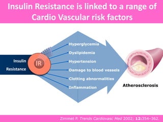 Atherosclerosis
Hyperglycemia
Dyslipidemia
Hypertension
Damage to blood vessels
Clotting abnormalities
Inflammation
Insulin
Resistance
IR
Insulin Resistance is linked to a range of
Cardio Vascular risk factors
Zimmet P. Trends Cardiovasc Med 2002; 12:354–362.
 