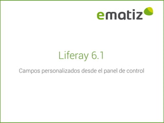 Liferay 6.1
Campos personalizados desde el panel de control
 