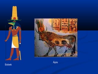 Sobek
Ápis
 