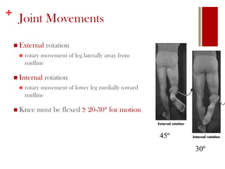 Internal Vs. External Leg Rotation 4 | PPTX