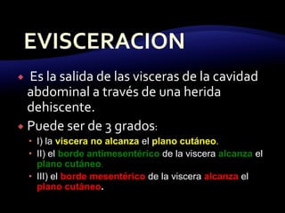 Es la salida de las visceras de la cavidad
abdominal a través de una herida
dehiscente.
 Puede ser de 3 grados:
 I) la viscera no alcanza el plano cutáneo.
 II) el borde antimesentérico de la viscera alcanza el
plano cutáneo.
 III) el borde mesentérico de la viscera alcanza el
plano cutáneo.
 