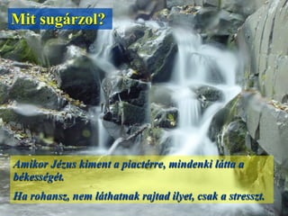 Amikor Jézus kiment a piactérre, mindenki látta a
békességét.
Ha rohansz, nem láthatnak rajtad ilyet, csak a stresszt.
Mit sugárzol?
 