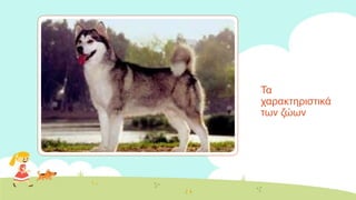 Τα
ραξαθηεξηζηηθά
ησλ δώσλ
 