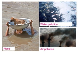 Flood
Water pollution
Air pollution
 