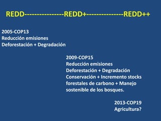 Redd Mecanismo de Desarrollo limpio (MDL) y REDD+ | PDF
