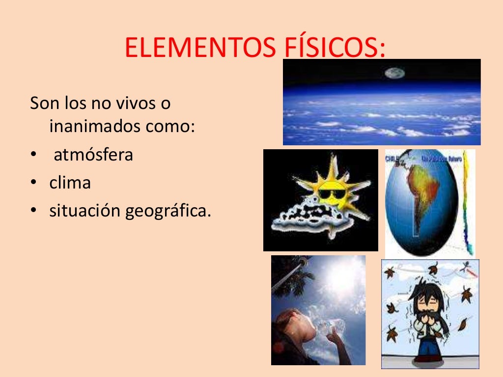4. Factores condicionantes del proceso salud enfermedad(13