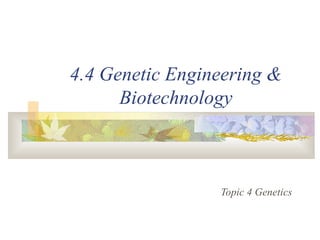 4.4 Genetic Engineering &
Biotechnology
Topic 4 Genetics
 