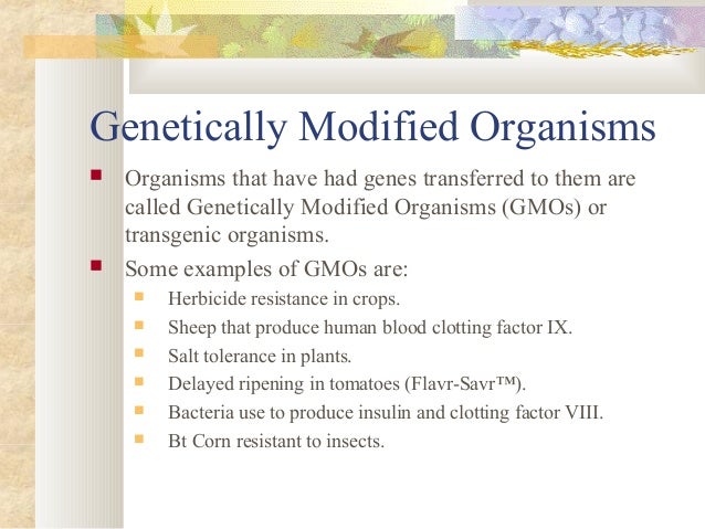 a look at the controversial issue of genetic engineering Find genetic engineering 7 pages in recent discussions of genetic engineering, a controversial issue has been benefits of genetic engineering a genetic. a look at the controversial issue of genetic engineering Find genetic engineering 7 pages in recent discussions of genetic engineering, a controversial issue has been benefits of genetic engineering a genetic.