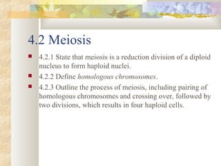 4.2 & 10.1 meiosis | PPT