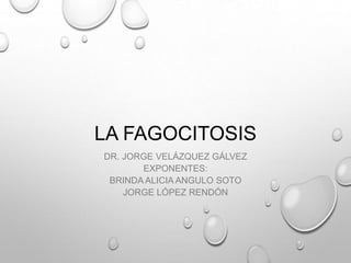 LA FAGOCITOSIS
DR. JORGE VELÁZQUEZ GÁLVEZ
EXPONENTES:
BRINDA ALICIA ANGULO SOTO
JORGE LÓPEZ RENDÓN
 