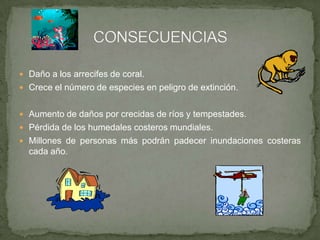  Daño a los arrecifes de coral.
 Crece el número de especies en peligro de extinción.
 Aumento de daños por crecidas de ríos y tempestades.
 Pérdida de los humedales costeros mundiales.
 Millones de personas más podrán padecer inundaciones costeras
cada año.
 