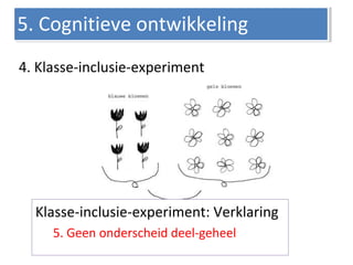 4. Klasse-inclusie-experiment
5. Cognitieve ontwikkeling5. Cognitieve ontwikkeling
Klasse-inclusie-experiment: Verklaring
5. Geen onderscheid deel-geheel
 