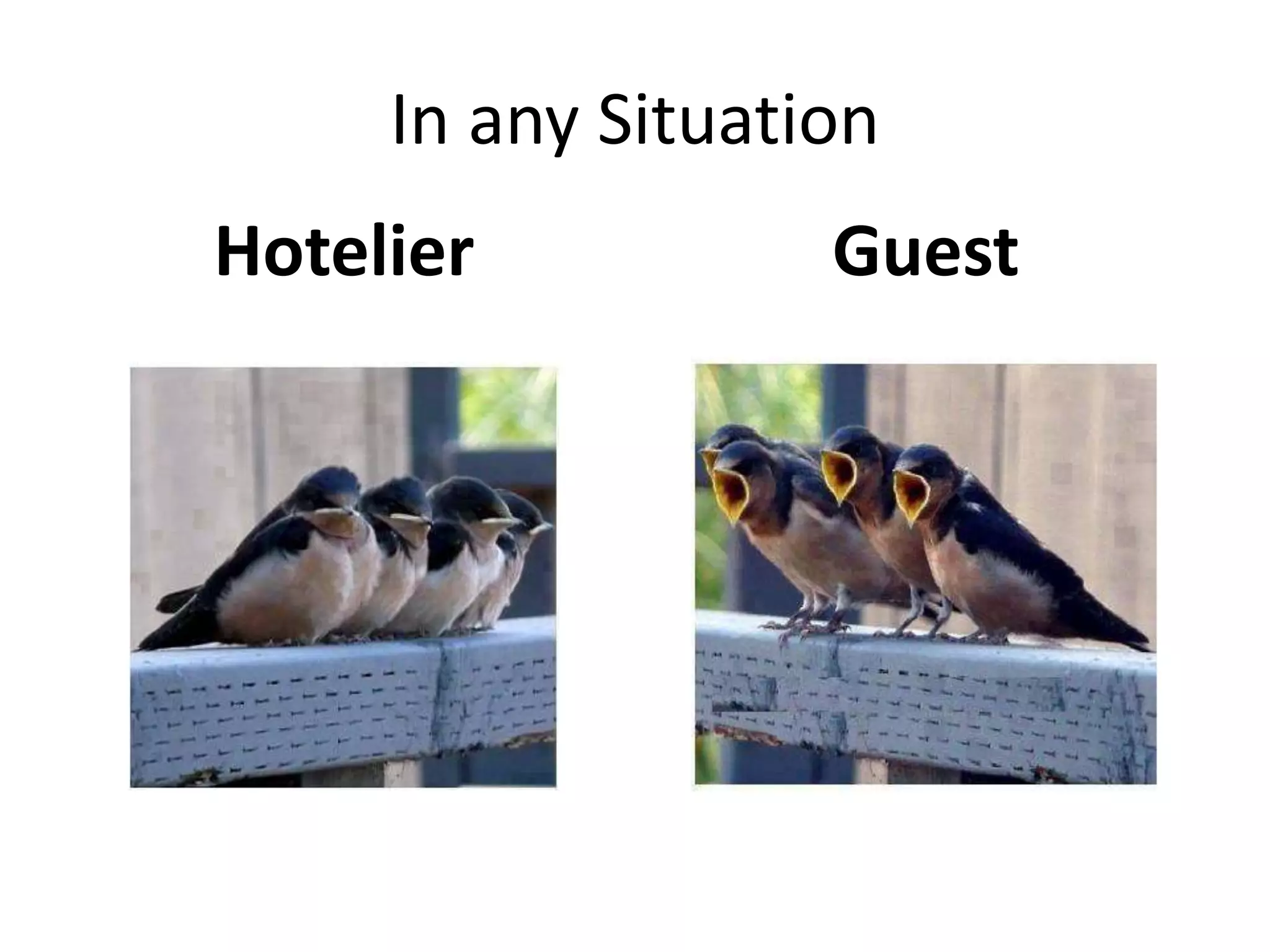 In any Situation
Hotelier Guest
 
