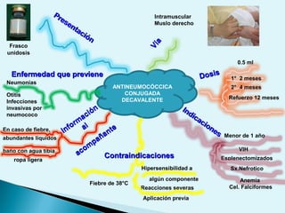 ANTINEUMOCÓCCICA
CONJUGADA
DECAVALENTE
Fiebre de 38°C
En caso de fiebre,
abundantes líquidos
Hipersensibilidad a
algún componente
Reacciones severas
Aplicación previa
baño con agua tibia
ropa ligera
0.5 ml
1° 2 meses
2° 4 meses
Refuerzo 12 meses
VIH
Esplenectomizados
Menor de 1 año
Sx.Nefrotico
Anemia
Cel. Falciformes
Intramuscular
Muslo derecho
Neumonías
Otitis
Infecciones
invasivas por
neumococo
Frasco
unidosis
Presentación
Presentación
Vía
Vía
DosisDosis
Indicaciones
Indicaciones
ContraindicacionesContraindicaciones
Inform
ación
Inform
ación
alal
acom
pañante
acom
pañante
Enfermedad que previeneEnfermedad que previene
 