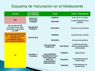 VACUNA
ENFERMEDAD
QUE PREVIENE
DOSIS EDAD Y FRECUENCIA
VPH
VIRUS DEL
PAPILOMA
HUMANO
PRIMERA A los 10,11 y 12 años
SEGUNDA
6 meses después de la
primera
Se les aplicará SR
a los que no han sido
vacunados a los 6 años
con SRP
SARAMPIÓN,
RUBEOLA
ADICIONAL De los 12 a los 18 años
Se les aplicará HEPATITIS
B a los que no se han
vacunado con
pentavalente celular ó
con la misma hepatitis B
HEPATITIS B
PRIMERA A partir de los 12 años
SEGUNDA Al mes de la primera
Td
DIFTERIA Y
TÉTANOS
CON ESQUEMA
COMPLETO
REFUERZO
A partir de los doce
años y/o adolescentes
embarazadas
CON ESQUEMA
INCOMPLETO O NO
DOCUMENTADA
(INCLUYE
ADOLESCENTE
EMBARAZADA)
PRIMERA Dosis inicial
SEGUNDA
1 mes después de la
primer dosis
TERCERA
1 año después a la
primer dosis
Esquema de Vacunación en el Adolescente
 