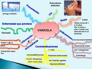 VARICELAVARICELA
Inmunodeficiencias
Varicela
Fiebre < 38° C.
< 1 año
Padecido Enfermedad
Dolor
Compresas agua
fría
0.5ml
•Dosis única de 1
a 12 años
•De 13 años y
más: 2 dosis con
intervalo de 4 a 8
semanas
Personal de salud
Guarderías
Transf. Sanguínea
Embarazo y lact.
Inf. Febriles agudas
Hipersensibilidad
Enf. metabolicas
Inmunocomprometidos
Subcutánea
deltoidesPresentación
Presentación
Vía
Vía
DosisDosis
Indicaciones
Indicaciones
ContraindicacionesContraindicaciones
Inform
ación
Inform
ación
alal
acom
pañante
acom
pañante
Enfermedad que previeneEnfermedad que previene
Jeringa unidosis
 