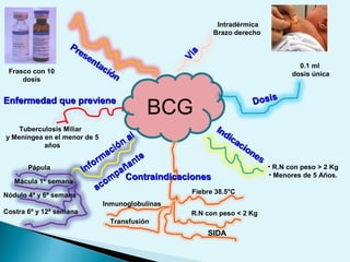BCG
0.1 ml
dosis única
• R.N con peso > 2 Kg
• Menores de 5 Años.
Inmunoglobulinas
Tuberculosis Miliar
y Meníngea en el menor de 5
años
Costra 6ª y 12ª semana
Presentación
Presentación
Vía
Vía
DosisDosis
Indicaciones
Indicaciones
ContraindicacionesContraindicaciones
Inform
ación
al
Inform
ación
al
acom
pañante
acom
pañante
Enfermedad que previeneEnfermedad que previene
Fiebre 38.5°C
R.N con peso < 2 Kg
SIDA
Transfusión
Pápula
Mácula 1ª semana
Nódulo 4ª y 6ª semana
Intradérmica
Brazo derecho
Frasco con 10
dosis
 