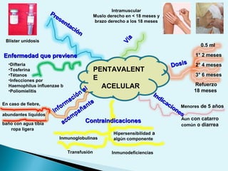 PENTAVALENT
E
ACELULAR
0.5 ml
1° 2 meses
2° 4 meses
3° 6 meses
Menores de 5 años
Inmunoglobulinas
•Difteria
•Tosferina
•Tétanos
•Infecciones por
Haemophilus influenzae b
•Poliomielitis
En caso de fiebre,
abundantes líquidos
Refuerzo
18 meses
Aun con catarro
común o diarrea
Hipersensibilidad a
algún componente
InmunodeficienciasTransfusión
ropa ligera
Intramuscular
Muslo derecho en < 18 meses y
brazo derecho a los 18 meses
Blíster unidosis
baño con agua tibia
Presentación
Presentación
Vía
Vía
DosisDosis
Indicaciones
Indicaciones
ContraindicacionesContraindicaciones
Inform
ación
al
Inform
ación
al
acom
pañante
acom
pañante
Enfermedad que previeneEnfermedad que previene
 