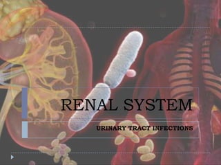 RENAL SYSTEM
URINARY TRACT INFECTIONS
 