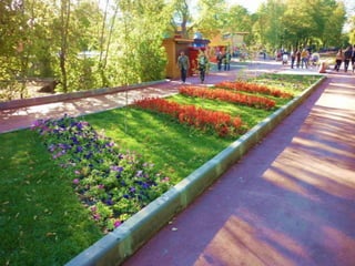 самара елистратова екатерина    4 класс