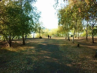 самара елистратова екатерина    4 класс