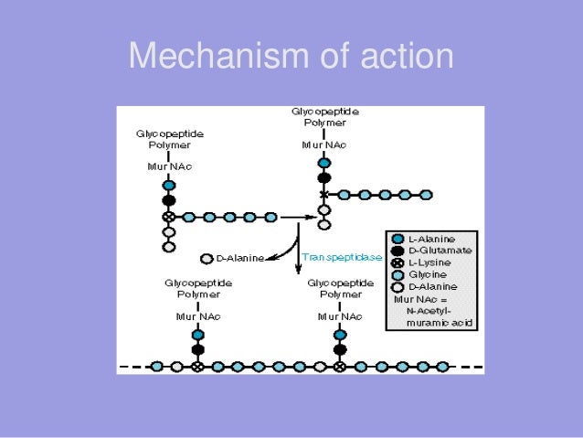 Oral Cephalosporins