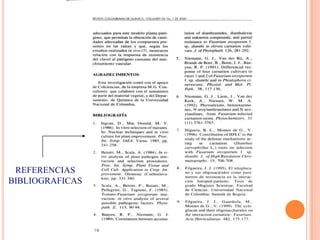 REFERENCIAS
BIBLIOGRAFICAS

 