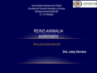 Universidad Autónoma de Chiriquí
Facultad de Ciencias Naturales y Exactas
Zoología General (Bio126)
Lic. En Biología

REINO ANIMALIA
acelomados
PHYLUM PLATELMINTOS

Dra. Letzy Serrano

 