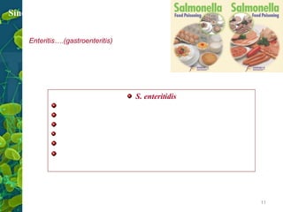 Síndrome clínica
Enteritis….(gastroenteritis)

S. enteritidis
Produz: Enterotoxina
Manifestação mais comum
Ingestão…8-48 horas..Nauseas, cefalea, vômitos,
Diarreia profusa.. com leucócitos
Grave perda de eletrólitos - lactentes, crianças , idosos
Autolimitada - 3-5 dias

11

 