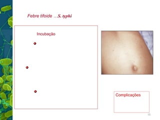 Síndrome clínica
Febre tifoide …S. typhi

Incubação 10-14 dias
Fase I : Bactéria no sangre
Febre , cefalea, malestar, calafrio, mialgia
Leucócitos normais-ligeira leucopenia.
D: Hemoculturas positivas 80%. M. óssea
Fase II: Febre 40°C, manchas roxas
esplenomegalia, aumento de anticorpos,
D: Coprocultura positiva
Reações sorológicas- Prova de Widal
Fase III : Convalescência
D: Coproculturas positivas 85%, Ac altos
urocultura positiva.

Complicações
Perfuração
hemorragia
15

 