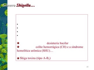 Gênero Shigella…
Características:
• Bacilos Gram negativos…ENTEROPATÓGENO
• Imóveis
• Habitam o intestino de humanos..PORTADORES
• Não Fermenta Lactosa (Lac -)
Agente etiológico da desinteria bacilar
Associada a colite hemorrágica (CH) e a síndrome
hemolítica urêmica (SHU)…
Shiga toxina (tipo A-B5) (S. dysenteriae)…
20

 
