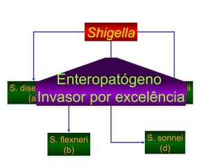 Shigella

Enteropatógeno boydii
S. disenterie
S.
(a)
(c)
Invasor por excelência
S. flexneri
(b)

S. sonnei
(d)
21

 