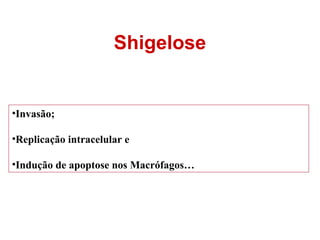 Shigelose

•Invasão;
•Replicação intracelular e
•Indução de apoptose nos Macrófagos…

24

 