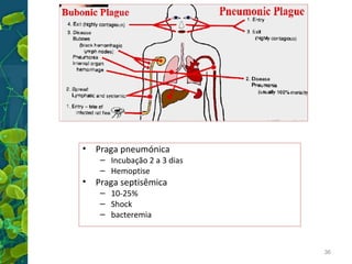 •
•

Praga pneumónica

– Incubação 2 a 3 dias
– Hemoptise

Praga septisêmica
– 10-25%
– Shock
– bacteremia

36

 