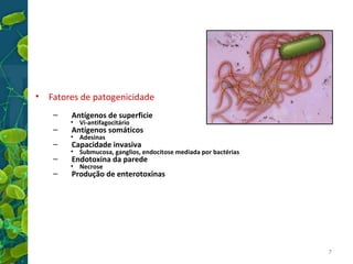 •

Fatores de patogenicidade
–
–
–
–
–

Antígenos de superficie

• Vi-antifagocitário

Antígenos somáticos

• Adesinas

Capacidade invasiva

• Submucosa, ganglios, endocitose mediada por bactérias

Endotoxina da parede

• Necrose

Produção de enterotoxinas

7

 